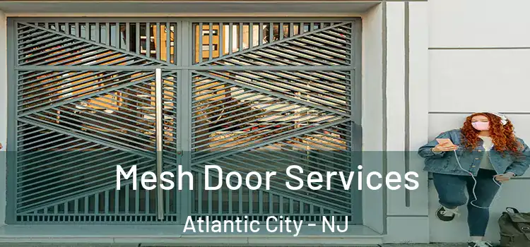 Mesh Door Services Atlantic City - NJ